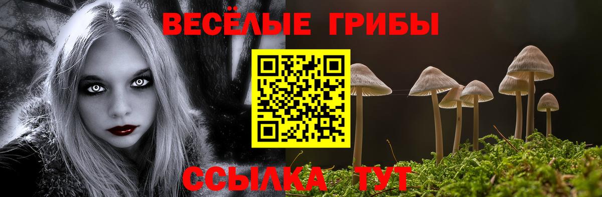 Псилоцибиновые грибы GOLDEN TEACHER Павловский Посад